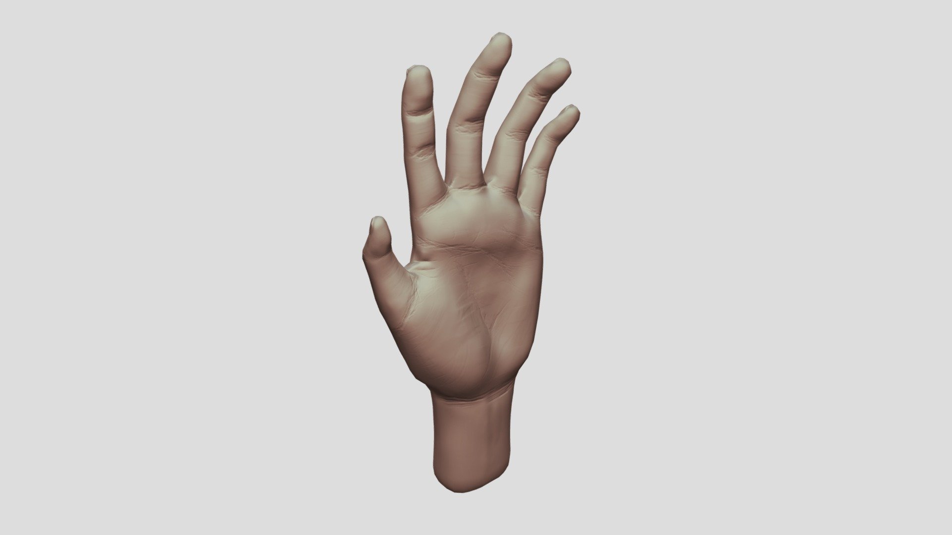 Hand - Download Free 3d Model By Emloc [3f1b9f8] - Sketchfab