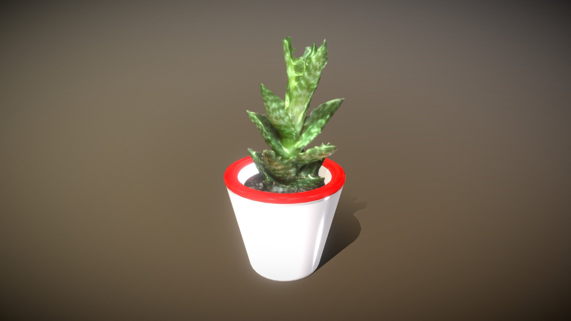 little_fat_plant