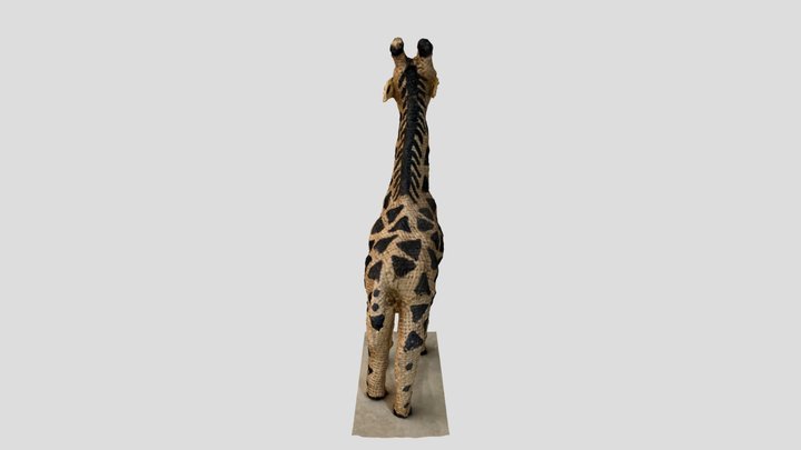 Giraffe Model 3D Model