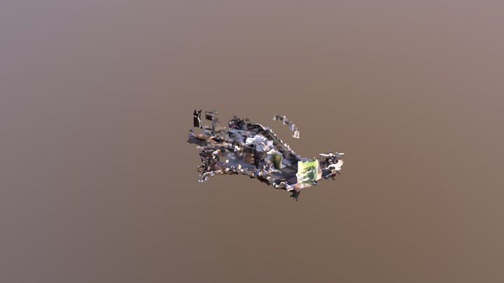 Pellati 3D Model
