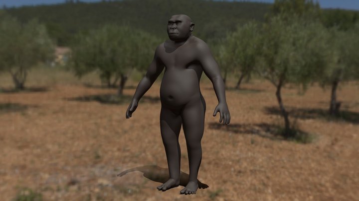 Paranthropus boisei 3D Model