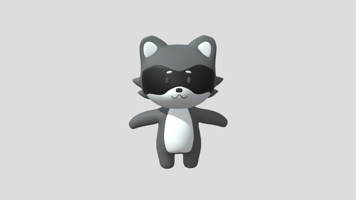 Racoon 3D Model