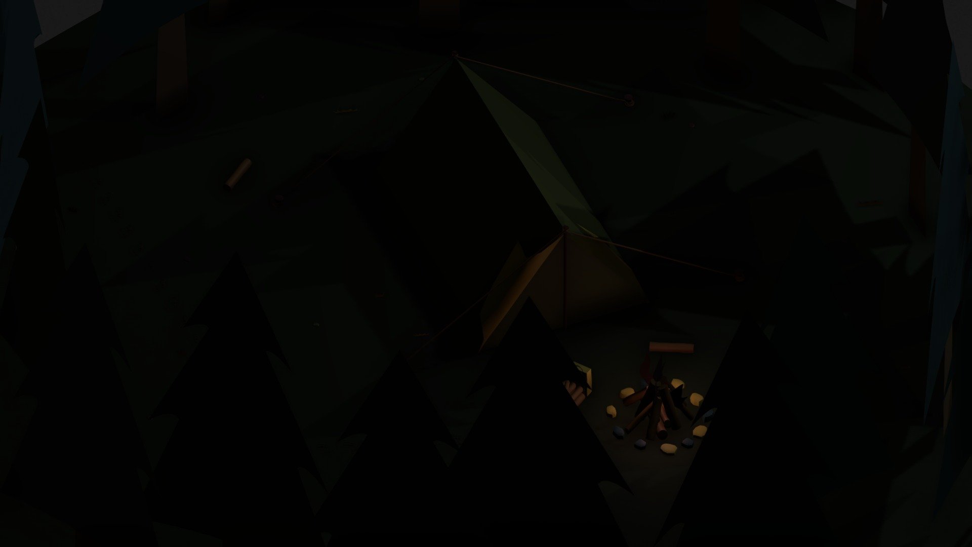 Night Camp