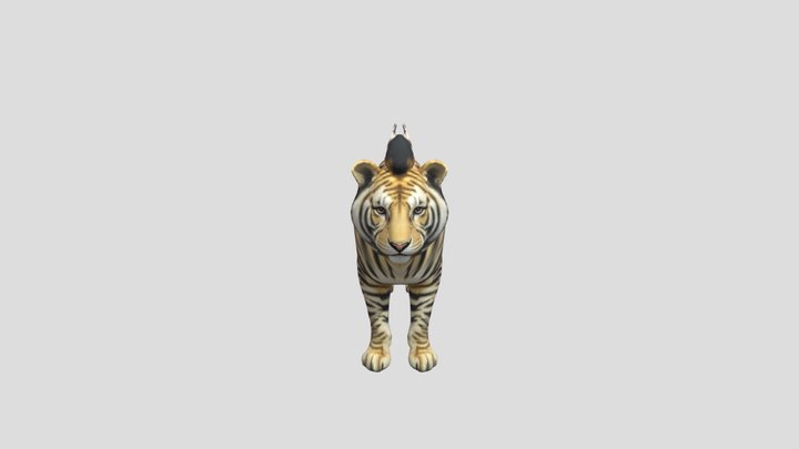 Dire Tiger – Modello 3D gratuito STL