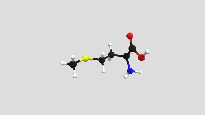 Methionine +1 3D Model