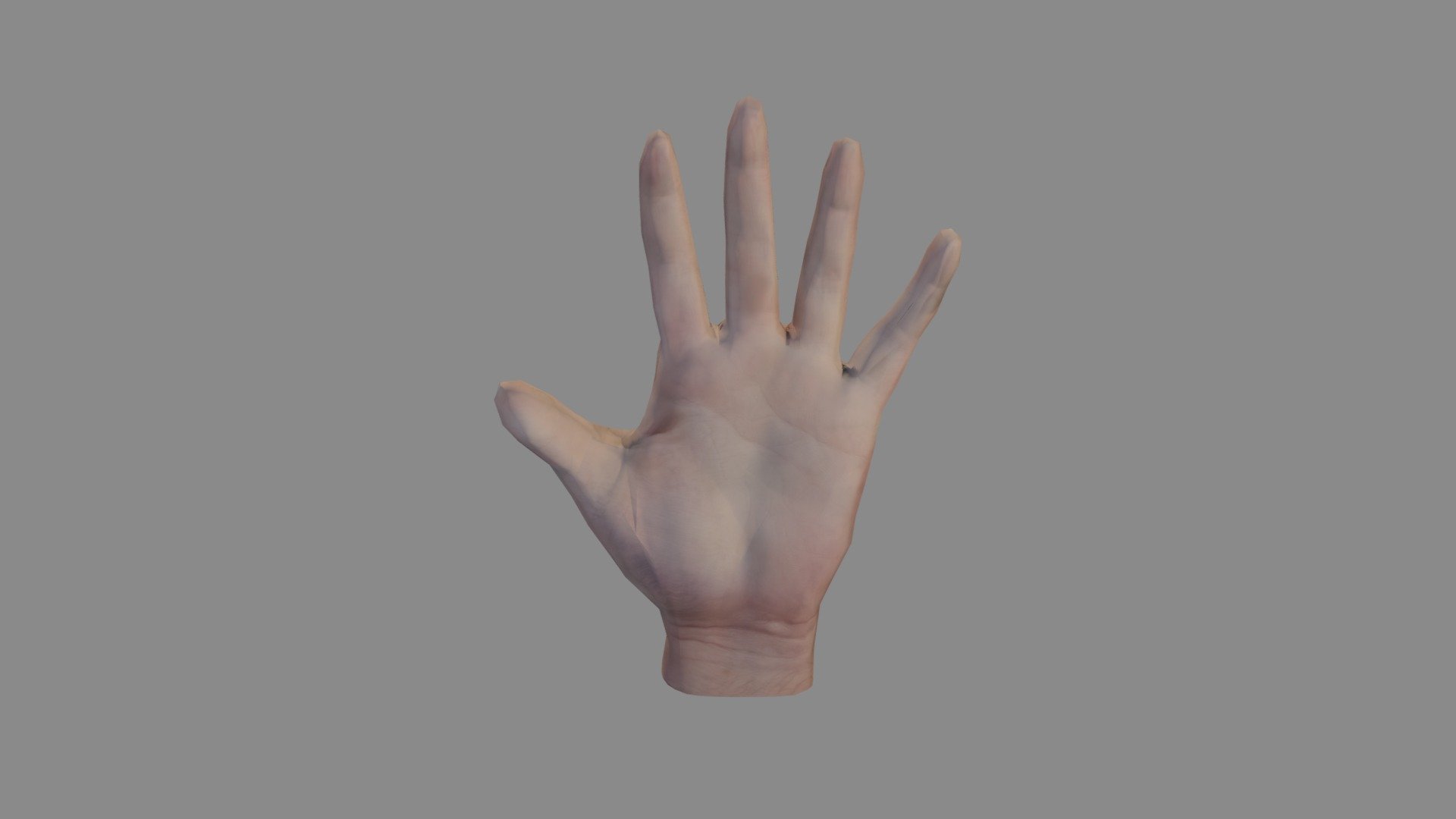 Hand Model - 3D model by ChloeEG [3f27d35] - Sketchfab