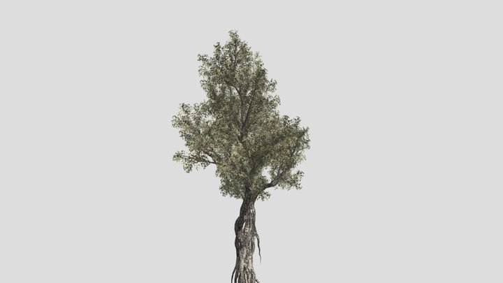 Tree (part5) – Modello 3D gratuito STL