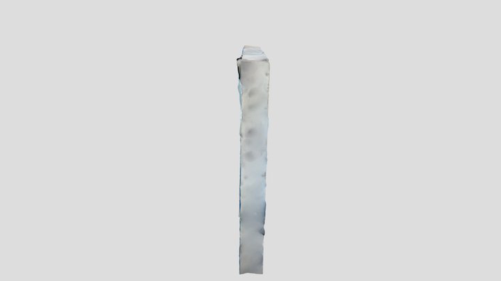 Dolphin cropped 3D Model