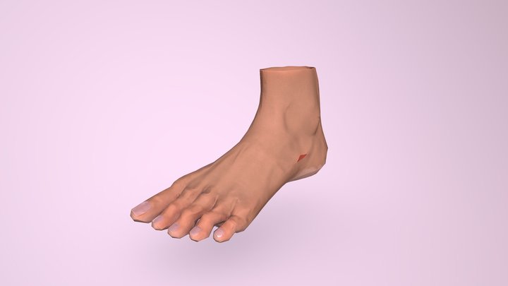 M6 Foot Sculpt (realism) 3D Model
