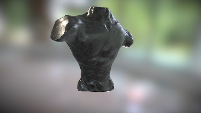 Man torso 3D Model