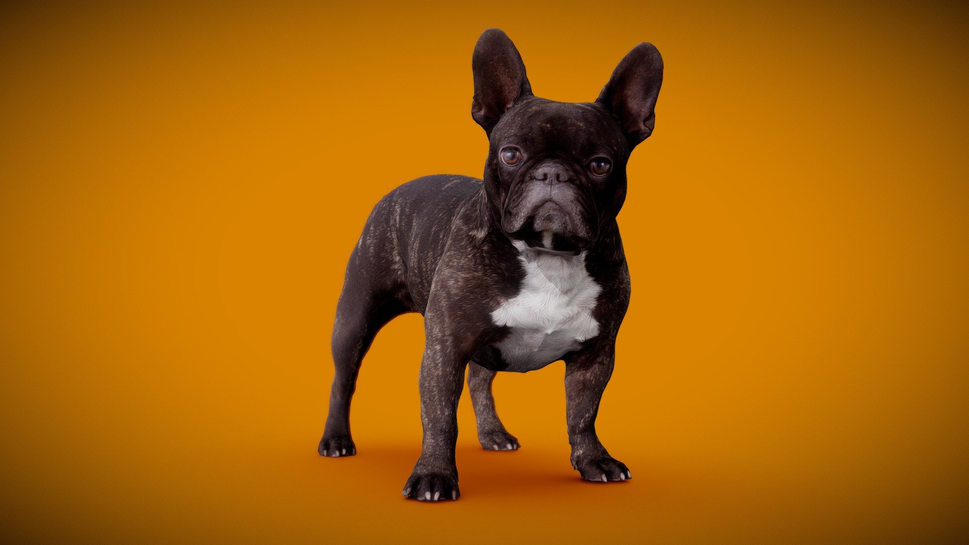 Dog B - 8of13 - Buy Royalty Free 3d Model By Frank.zwick (@frank Zwick 