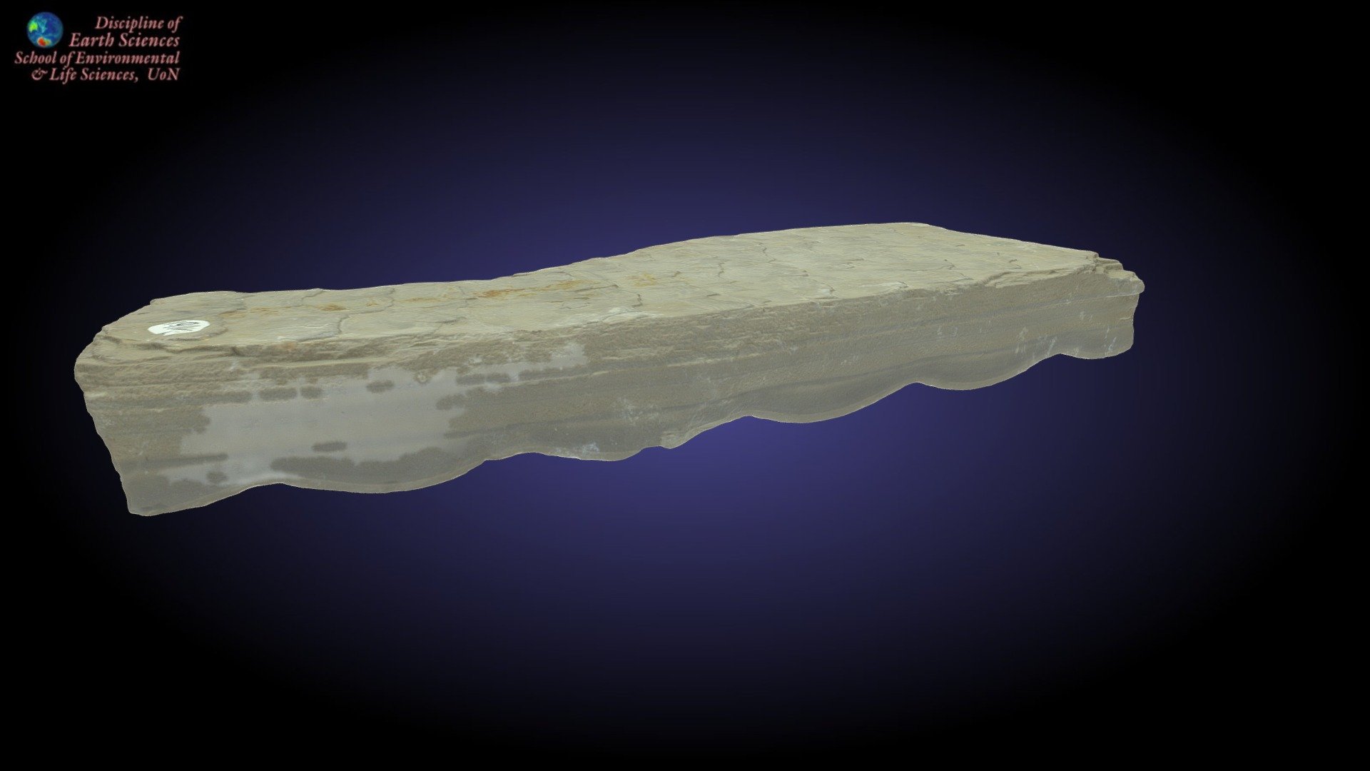 Wave ripples - 3D model by Earth Sciences, University of Newcastle ...
