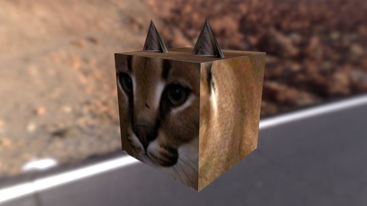 шлёпа 2 3D Model