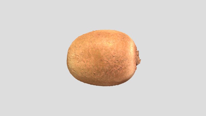Kiwi 3D Model