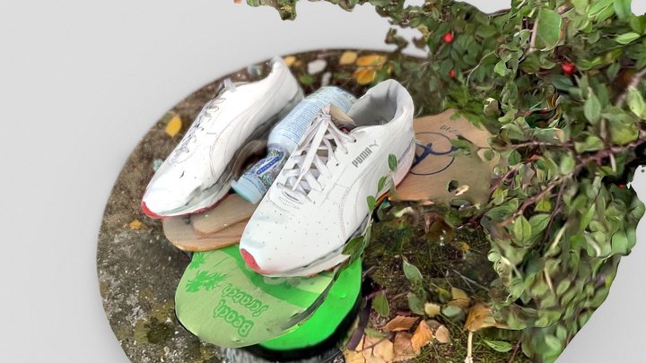 Day 286: abandoned Puma