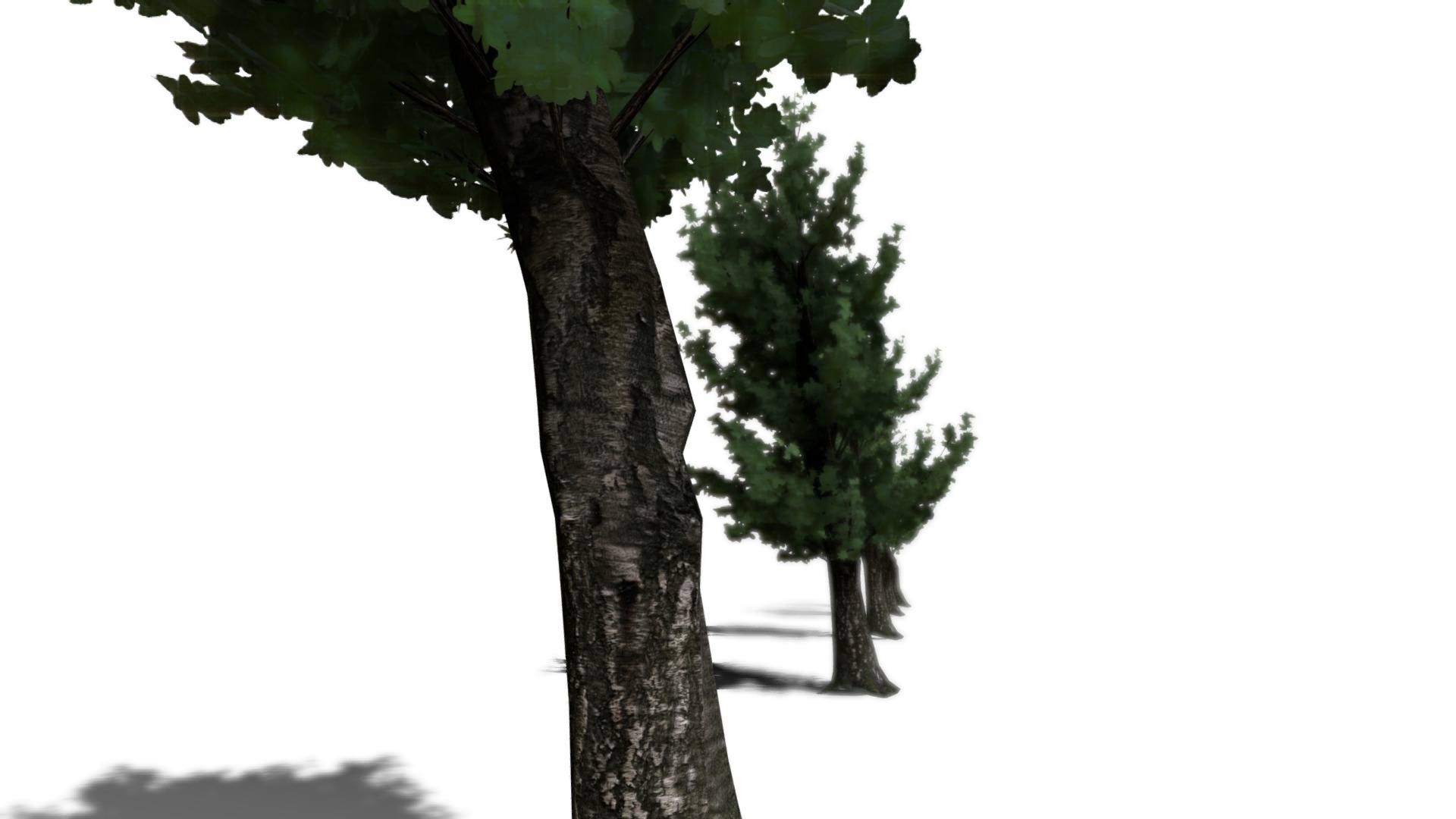3D model Trees (6 pack) - This is a 3D model of the Trees (6 pack). The 3D model is about a tree with a few branches.