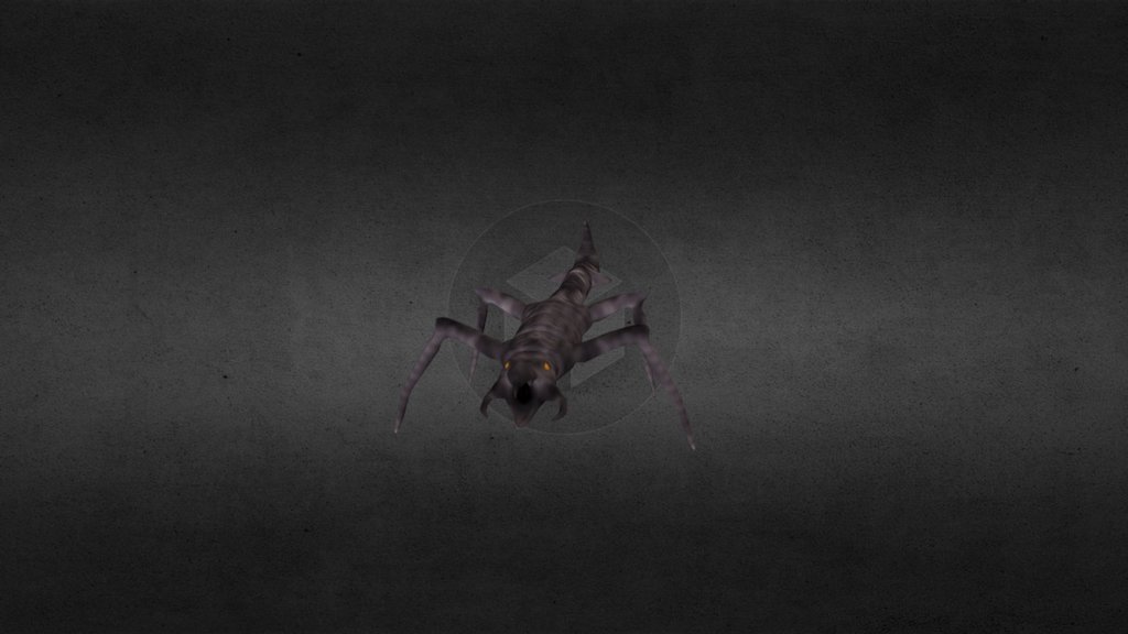 Bug