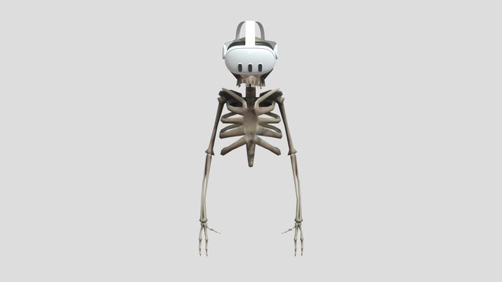 Skeleton VR 3D Model