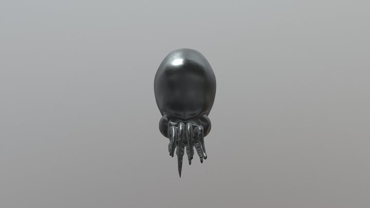 Larval Octopus 3D Model