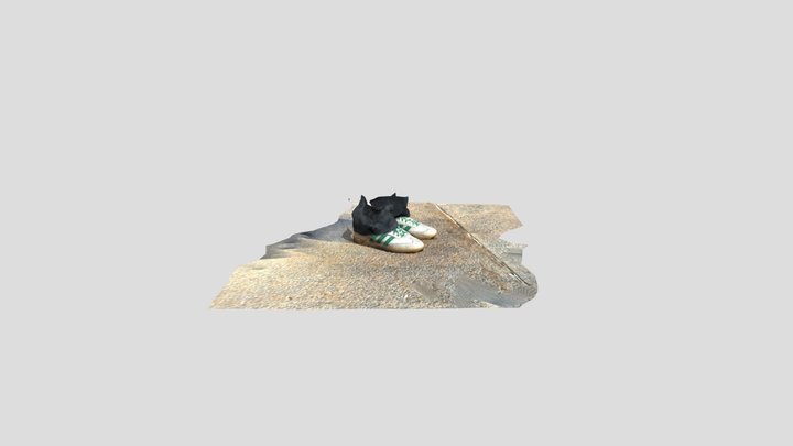 Shoes 3D Model