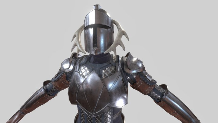 Eraden Paladin Armor - Male 3D Model