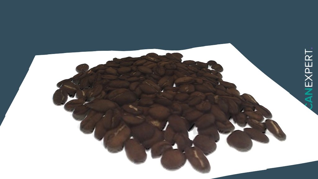Coffee Beans — Fuel 3D Scanify Review