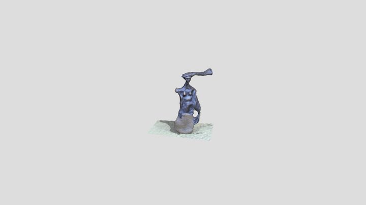 L'acollidora 3D Model