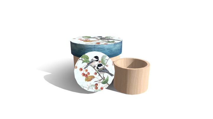 Caja aves 3D Model