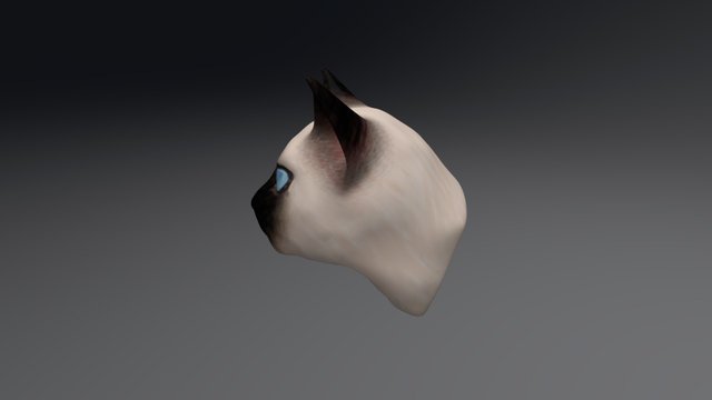Cat 3D Model