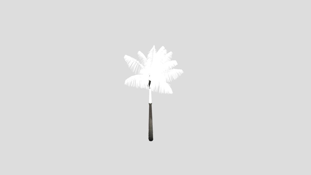 Imperial Palm Tree Animated