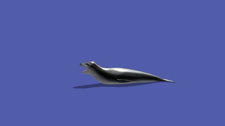 Leopard Seal 3D Model