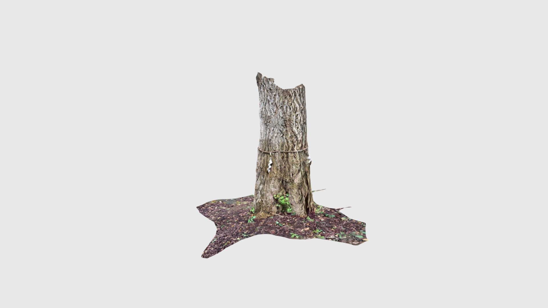 御神木 - Download Free 3D model by Bandai3dws19 (@Bandai3dws19