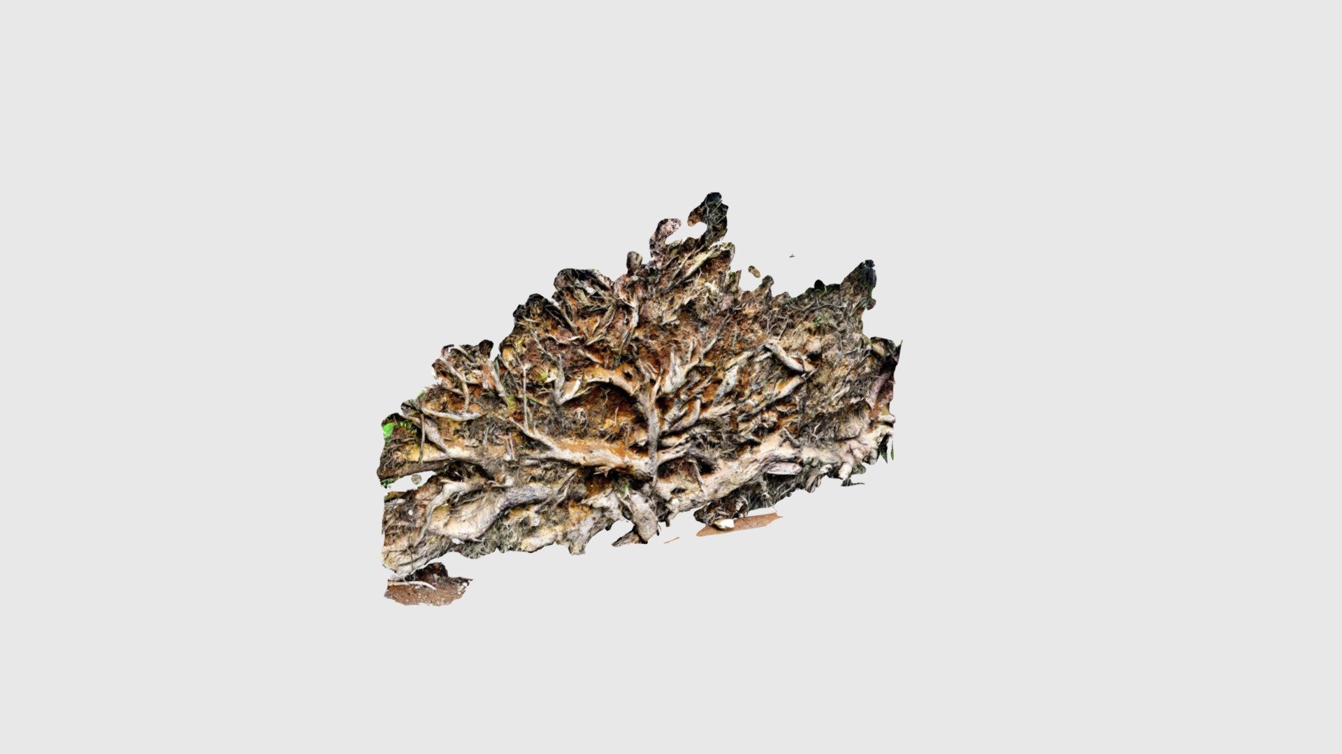 The root of all things
