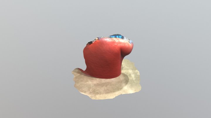 Freedom 3D Model