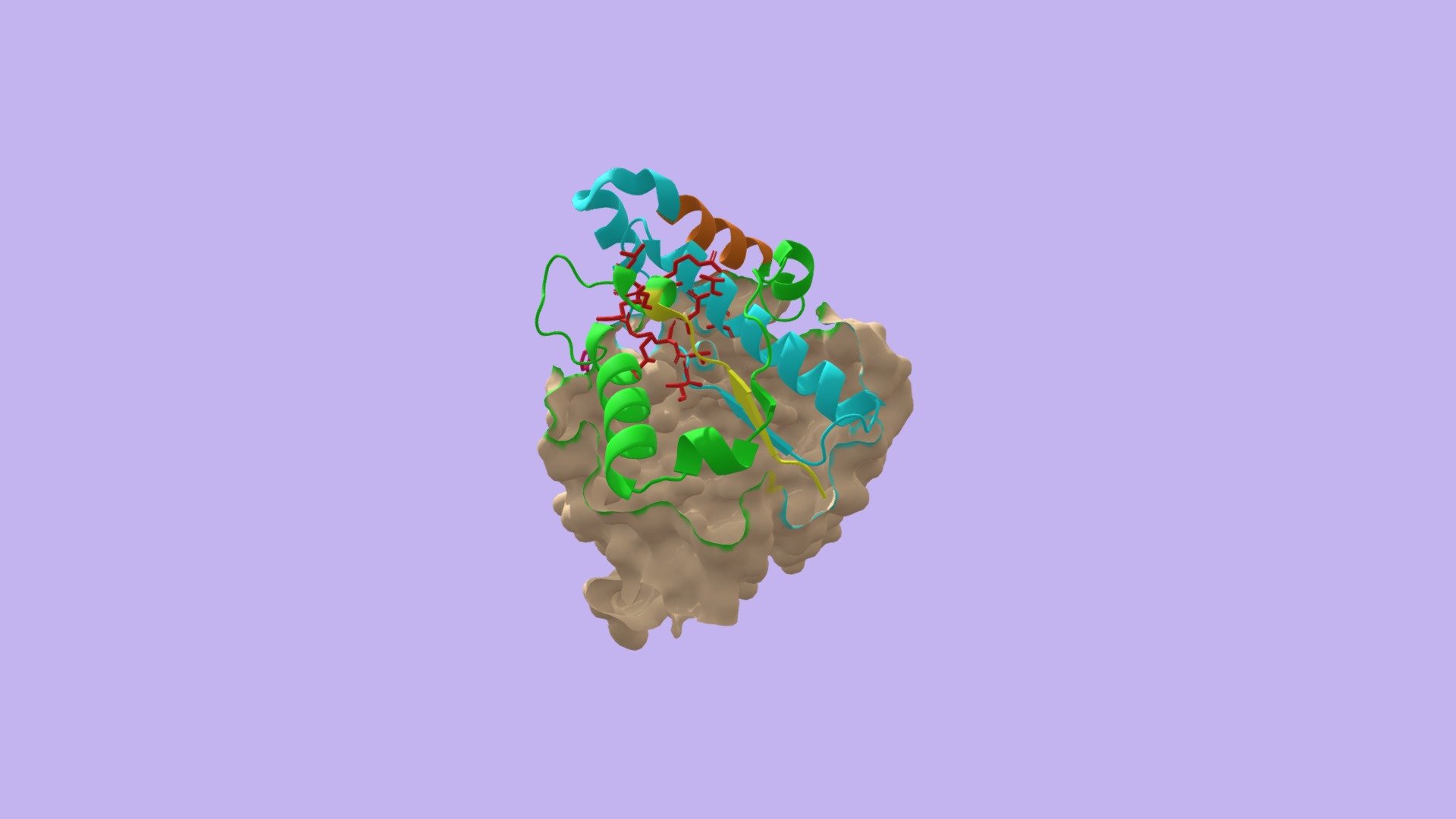 Crystal Structure of CENP-B protein-DNA complex - 3D model by cesho6 ...