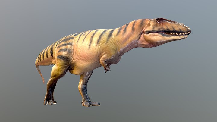 Carcharodontosaurus 3D Model