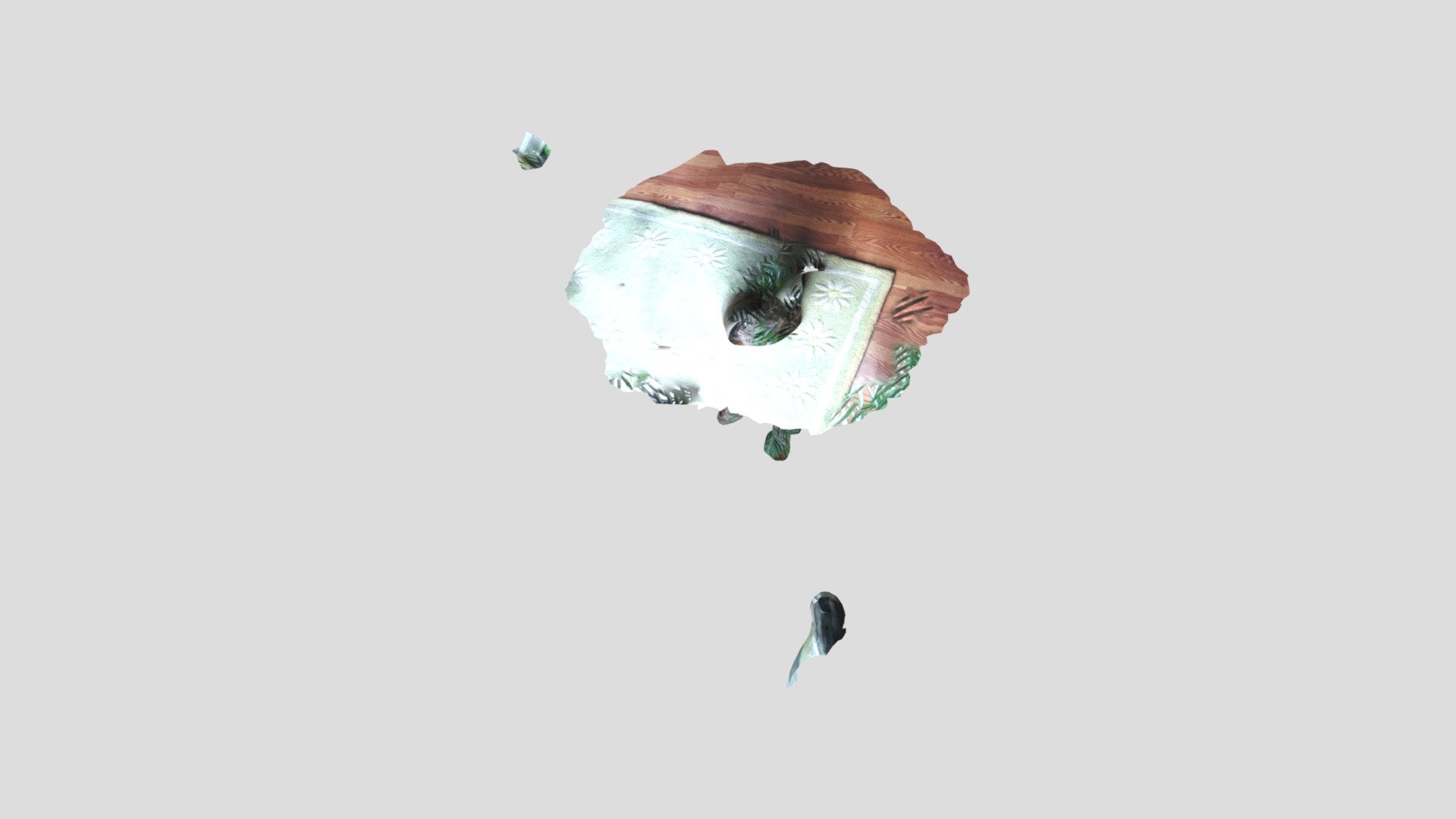 Ricky Feria Plant Model Scann3D