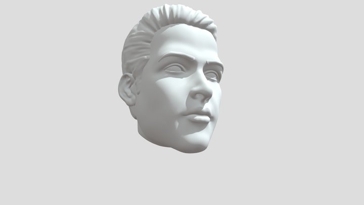 Face 3D Model