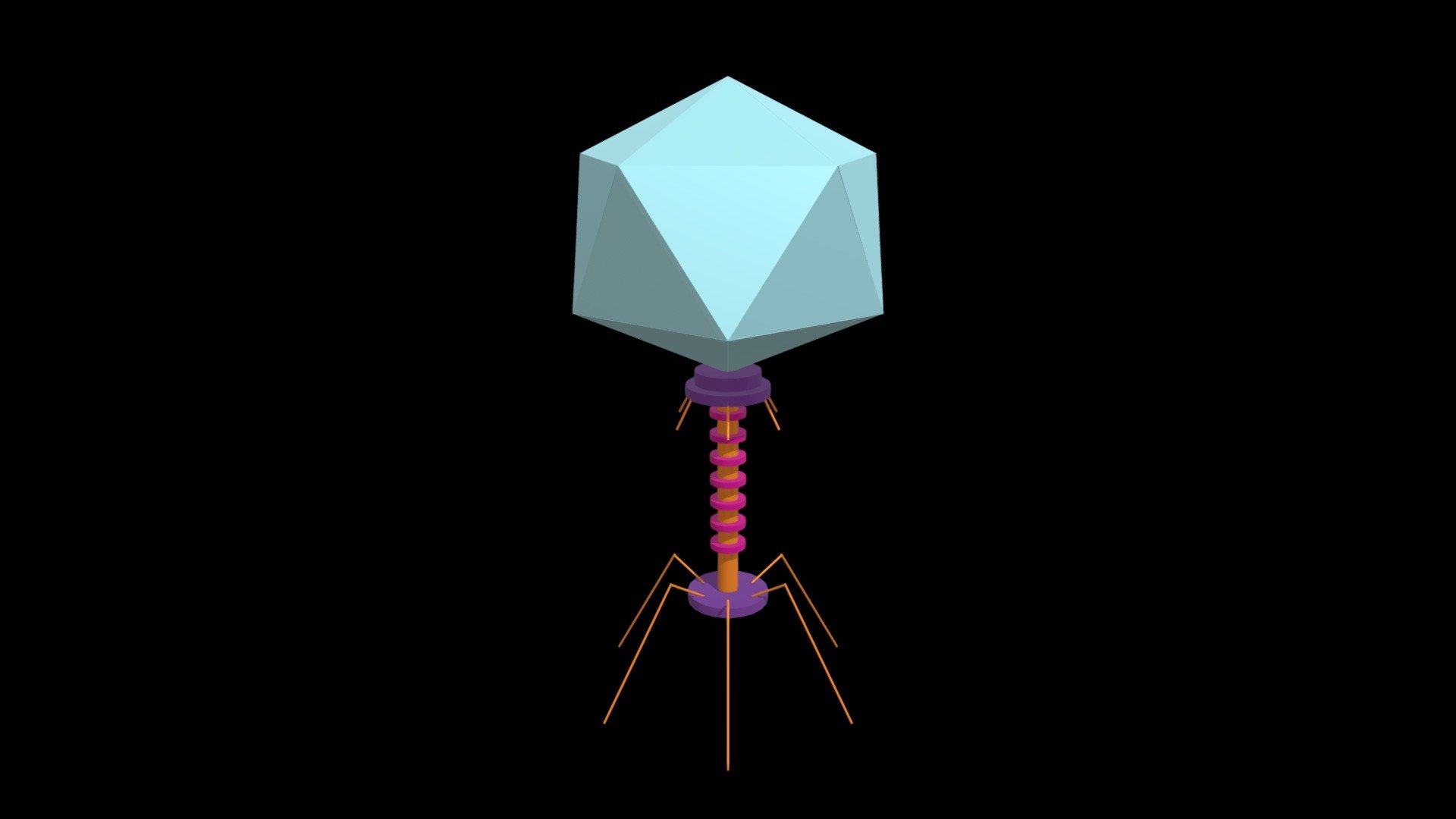 Bacteriophage