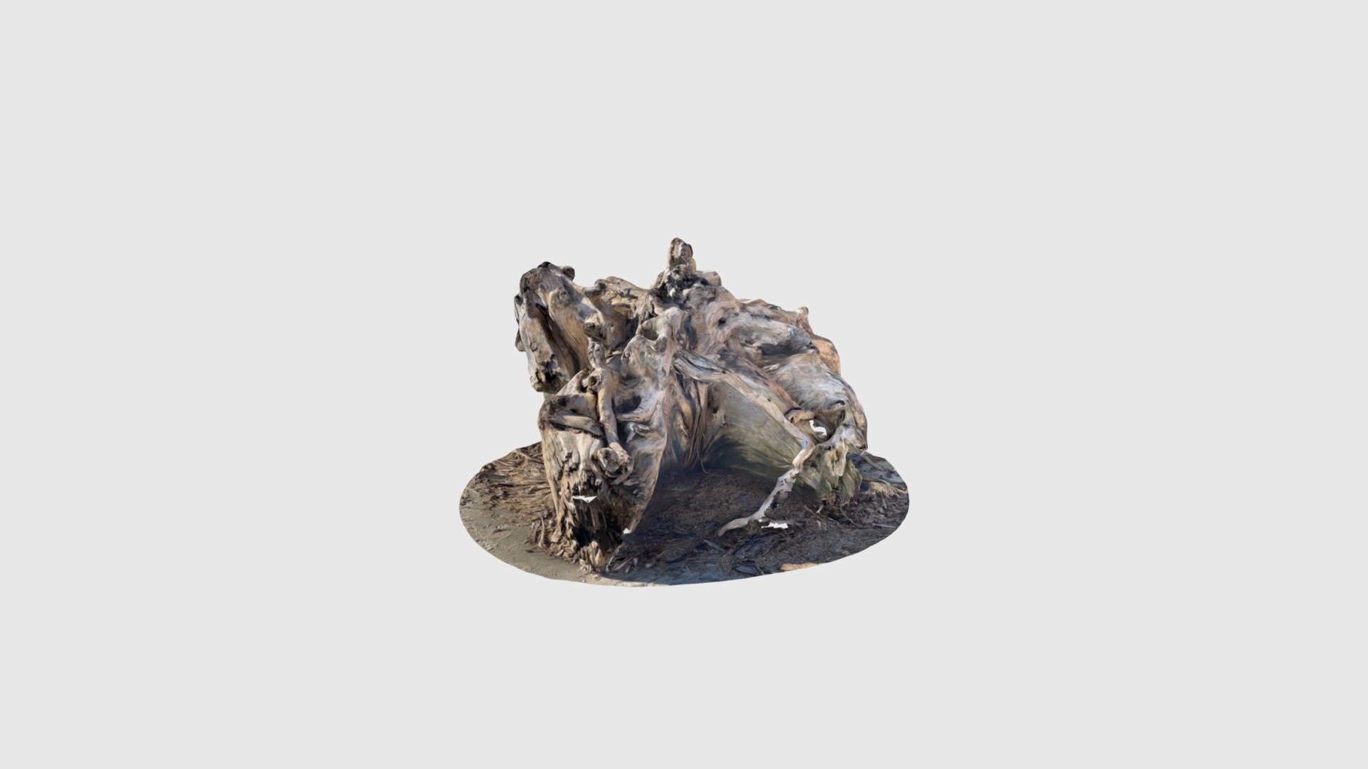 Driftwood — Sketchfab embed 3D viewer