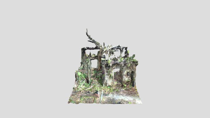 Tree House 1 Scan 3D Model