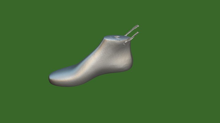 Shoe last – Modello 3D gratuito STL