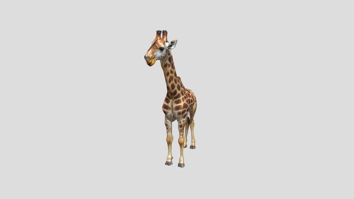 giraffe 3D Model
