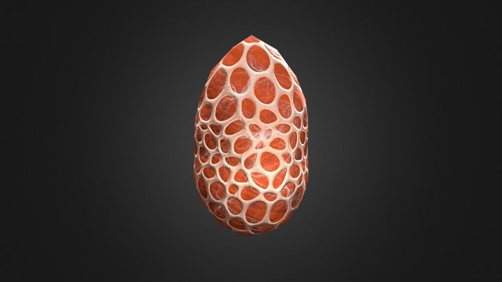 Egg   - retexture 3D Model