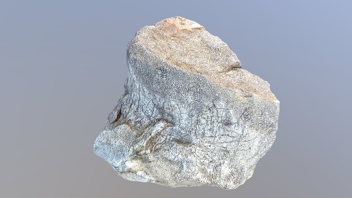 Fossil Dinosaur Bone 3D Model