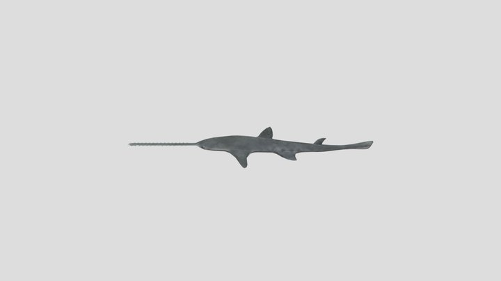 Onchopristus 3D Model