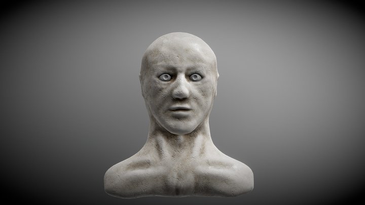 Sculpt Test 3D Model