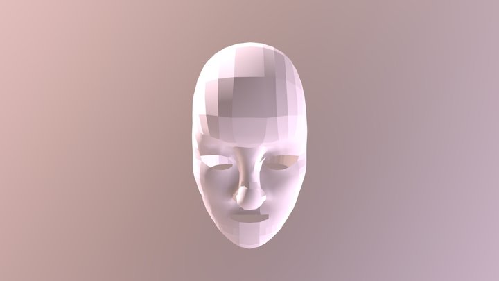 Face 3D Model