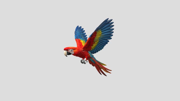 High Poly Macaw Flying 3D Model Free – Modello 3D gratuito STL