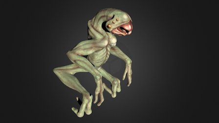 Neuorectus 3D Model